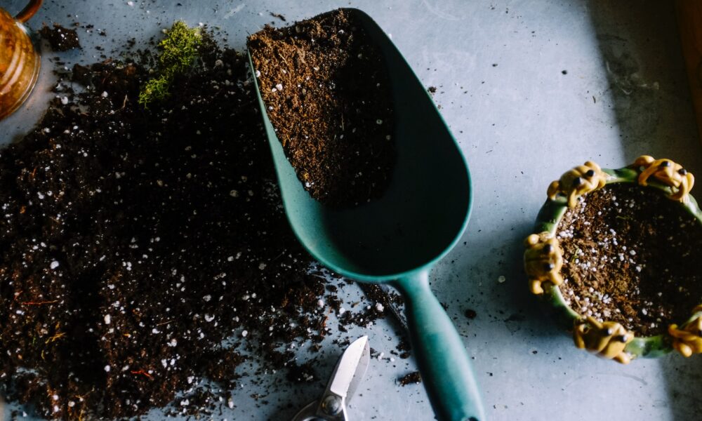Perfect Soil Mix for Container Gardening