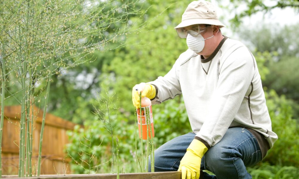 man in white long sleeve shirt and blue denim jeans adding fertilizer to garden