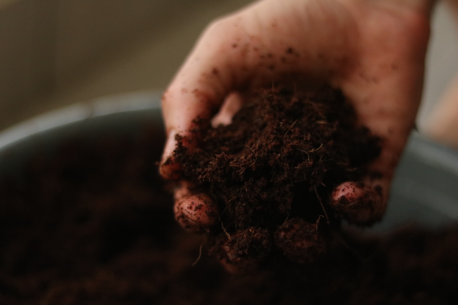 a person holding a handful of dirt in their hand for soil conditioning