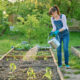 Woman watering vegetable garden with wooden beds